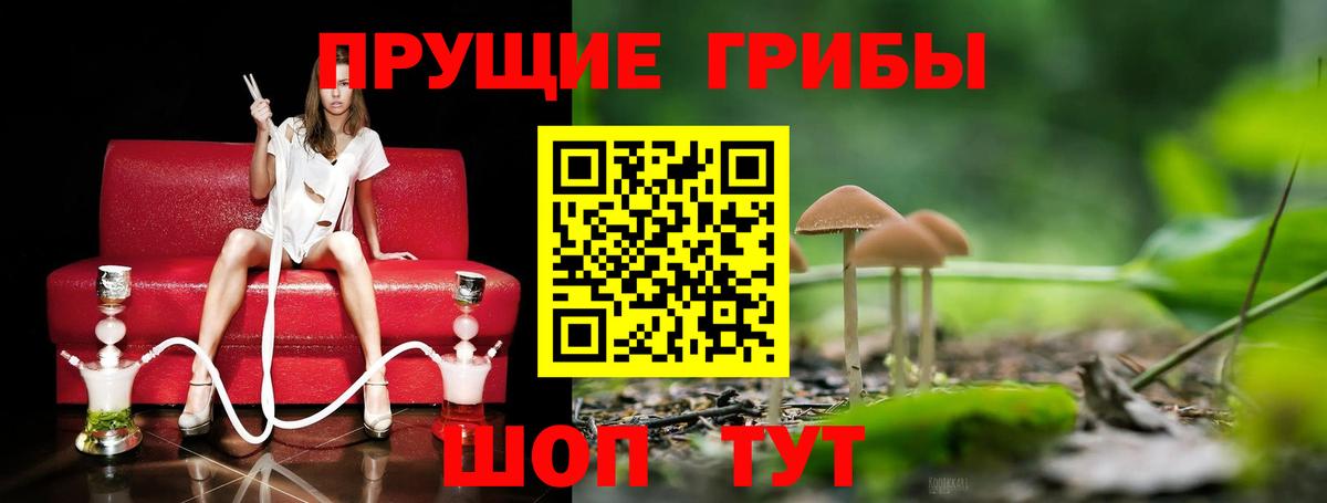 Галлюциногенные грибы GOLDEN TEACHER Беслан